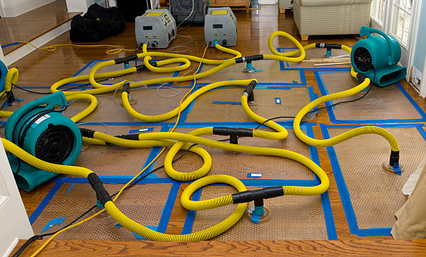 Professional Structural Drying And Dehumidification technician working in Wolfeboro, NH